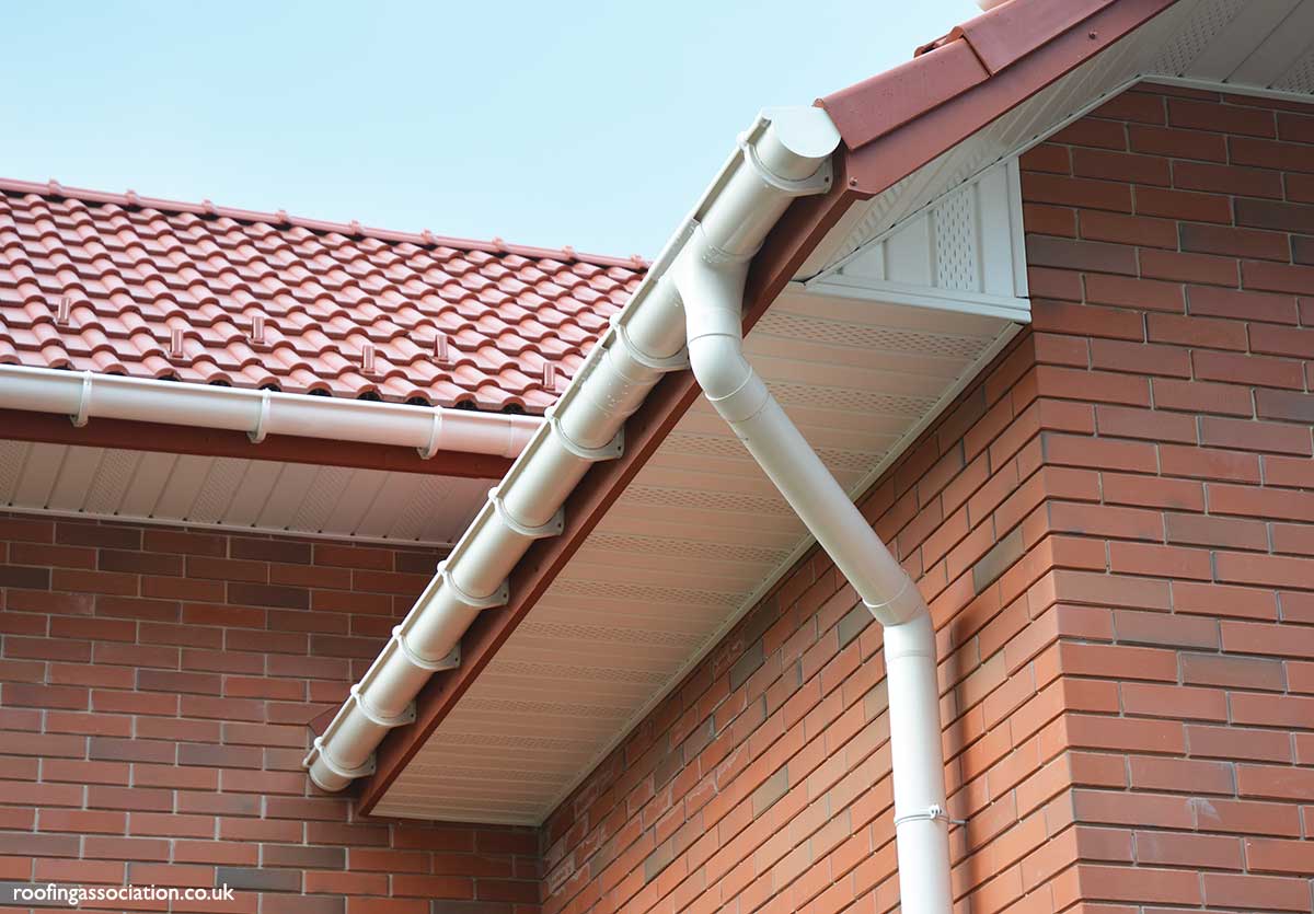 Fascias